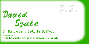 david szule business card